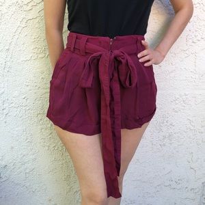 American Apparel California Select Vintage Shorts